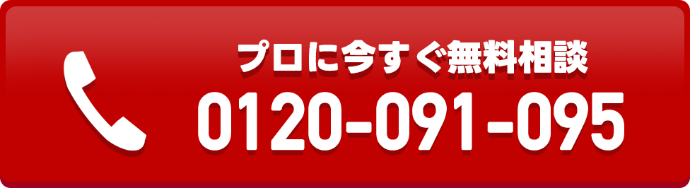 お電話：0120091095