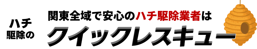 クイックレスキュー