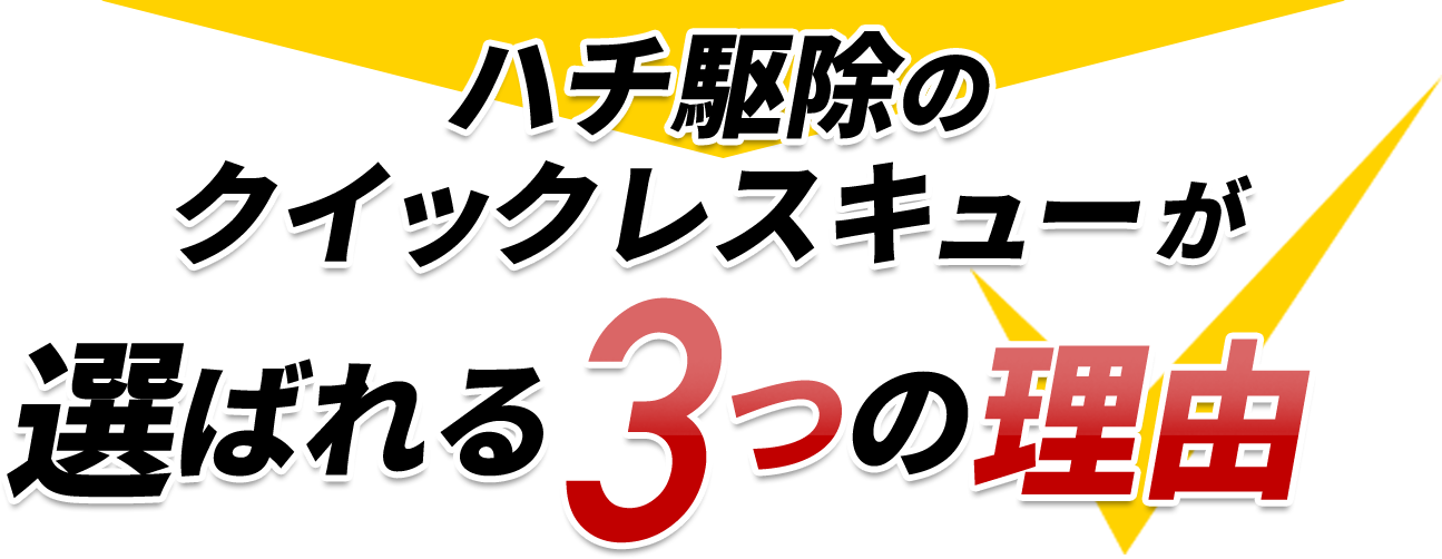 選ばれる理由